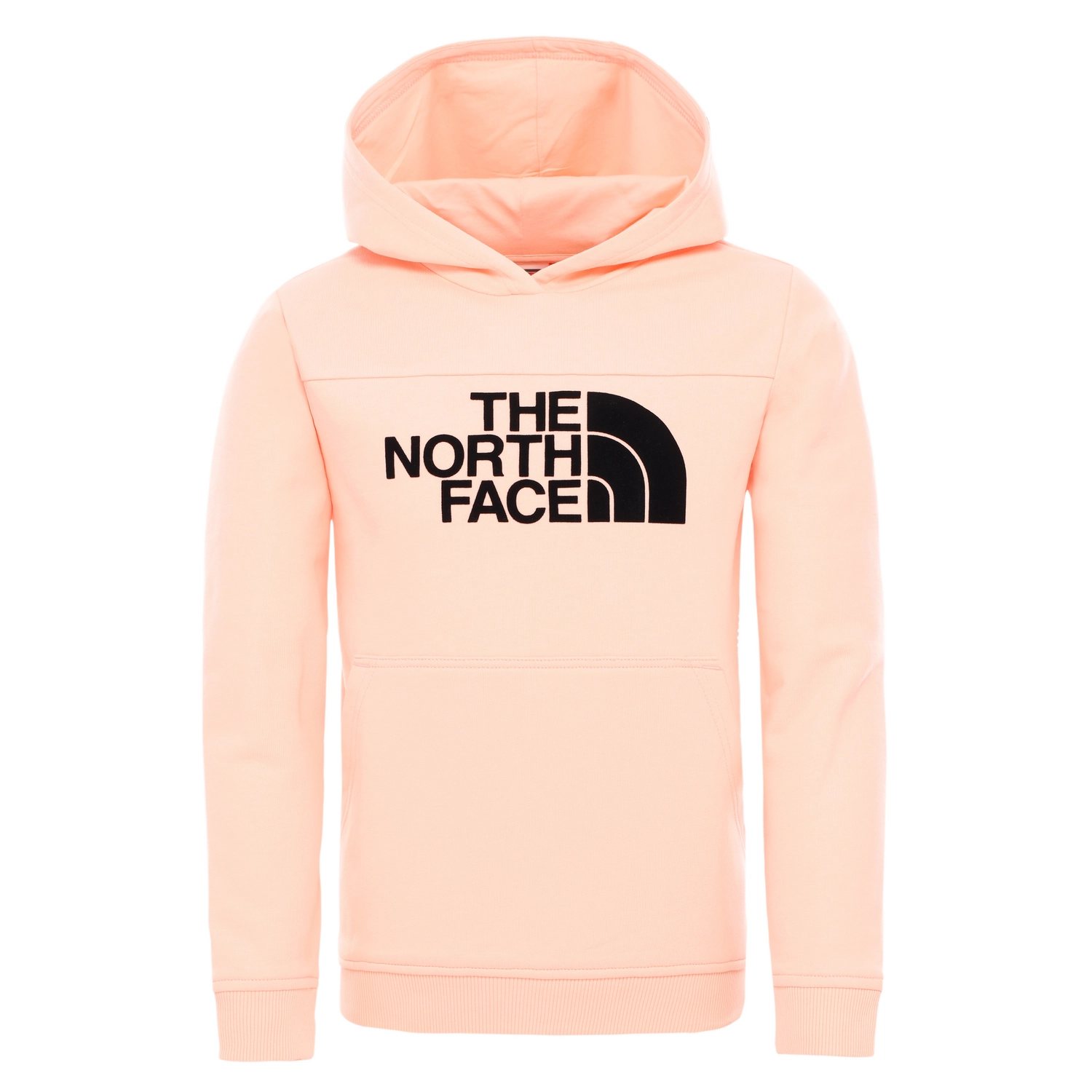 Trui The North Face Youth Drew Peak Hoodie Impatiens Pink